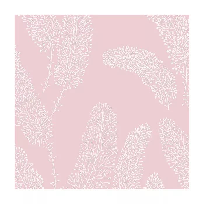 Feather Wallpaper Pink Norwall Wallcovering PA34254