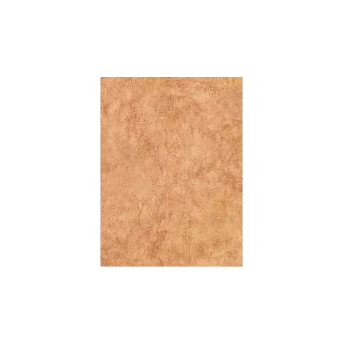 Tan and Burgundy Faux Wallpaper