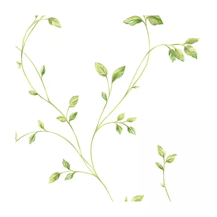 Watercolor Leaves Wallpaper Green Norwall Wallcovering KC28550