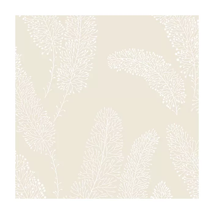 Feather Wallpaper Beige Norwall Wallcovering PA34250