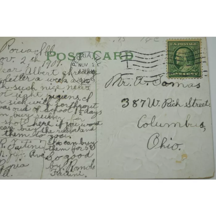 Vintage Postcard - Forget Me Not - Early 1900's