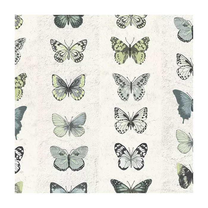 Jewel Butterflies Stripe Wallpaper Green, Blue, Beige, Black, Lime Norwall Wallcovering G67994