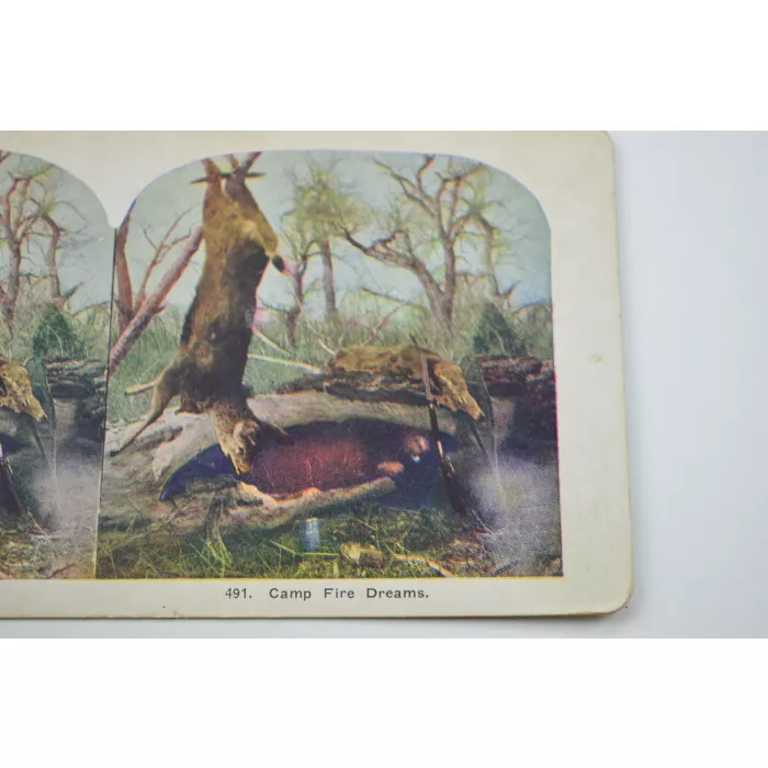 Antique Stereoview - No. 491 - Camp Fire Dreams