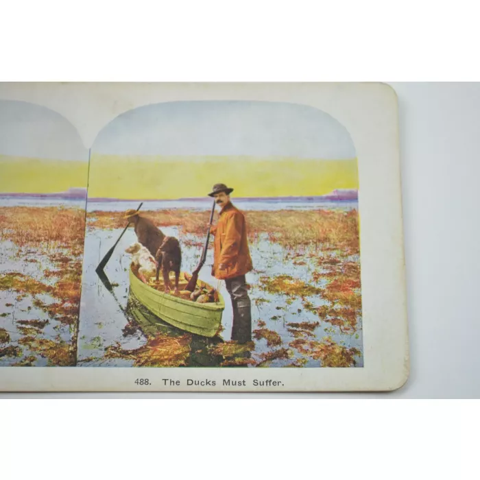 Antique Stereoview - No. 488 - The Ducks Must Suffer