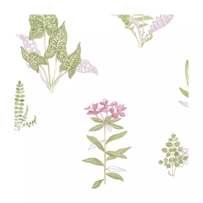 Ferns Wallpaper Pink, Green Norwall Wallcovering PA34248