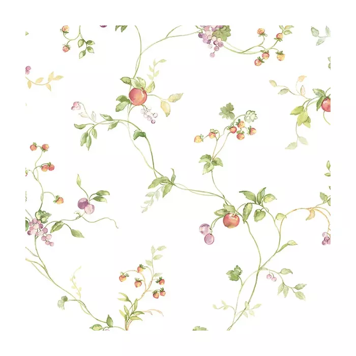 Mini Fruit Trail Wallpaper Pink, Purple, Green Norwall Wallcovering KC28534