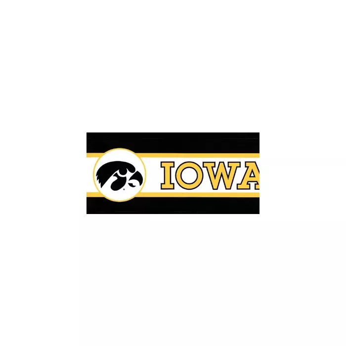 University of Iowa Hawkeye Wallpaper Border BE7123