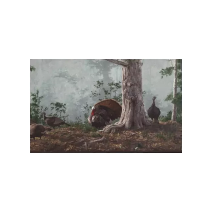 Gobblers and Hen Turkey Wallpaper Border HG522B