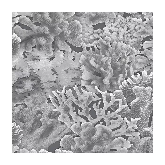 Coral Wallpaper Grey, Dove, Charcoal, Black Norwall Wallcovering FH37503