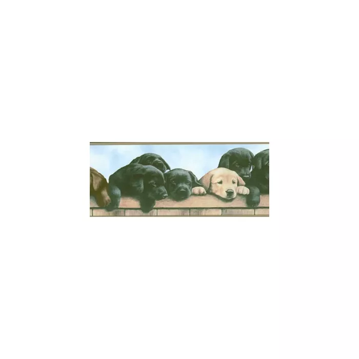 Labrador and Retriever Puppies Wallpaper Border WT1038BCS