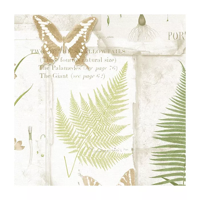 Parchment Ferns Wallpaper Beige, Green Norwall Wallcovering FK34415