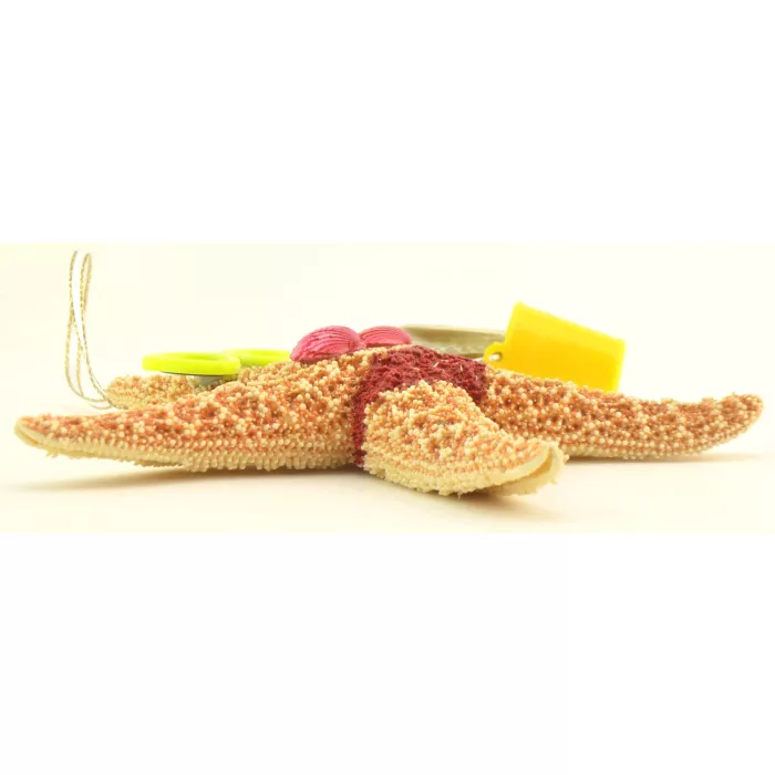 SAND-DECO Hanging Ornament - Girl Starfish