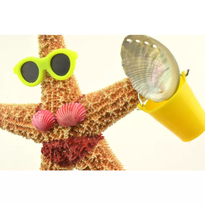 SAND-DECO Hanging Ornament - Girl Starfish