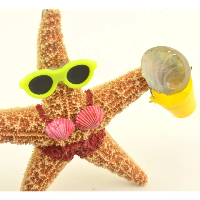 SAND-DECO Hanging Ornament - Girl Starfish