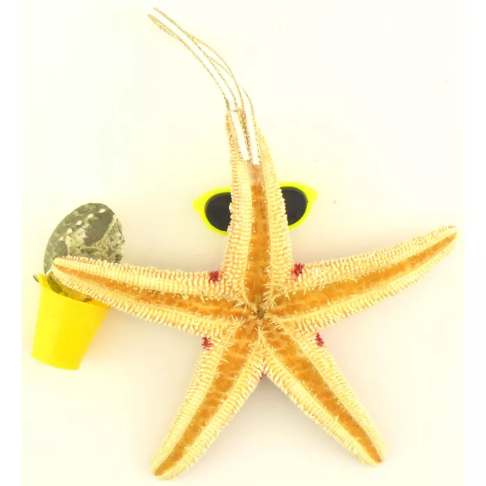 SAND-DECO Hanging Ornament - Girl Starfish