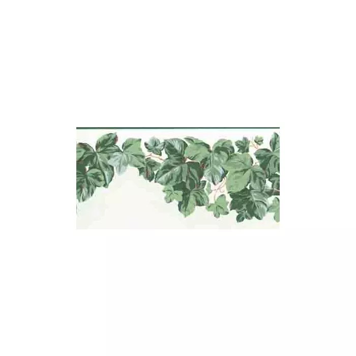 Ivy Leaves Decorative Wallpaper Border  2 rolls left