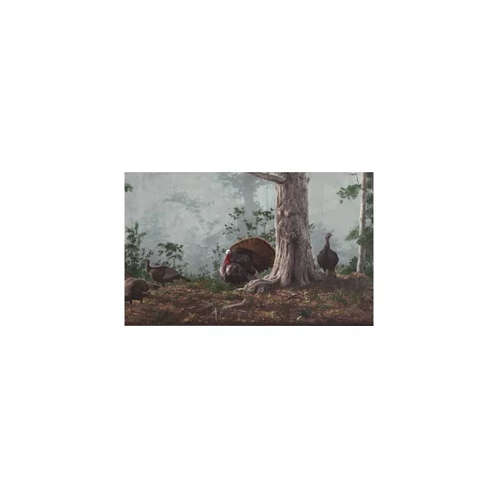 Gobblers and Hen Turkey Wallpaper Border HG522B