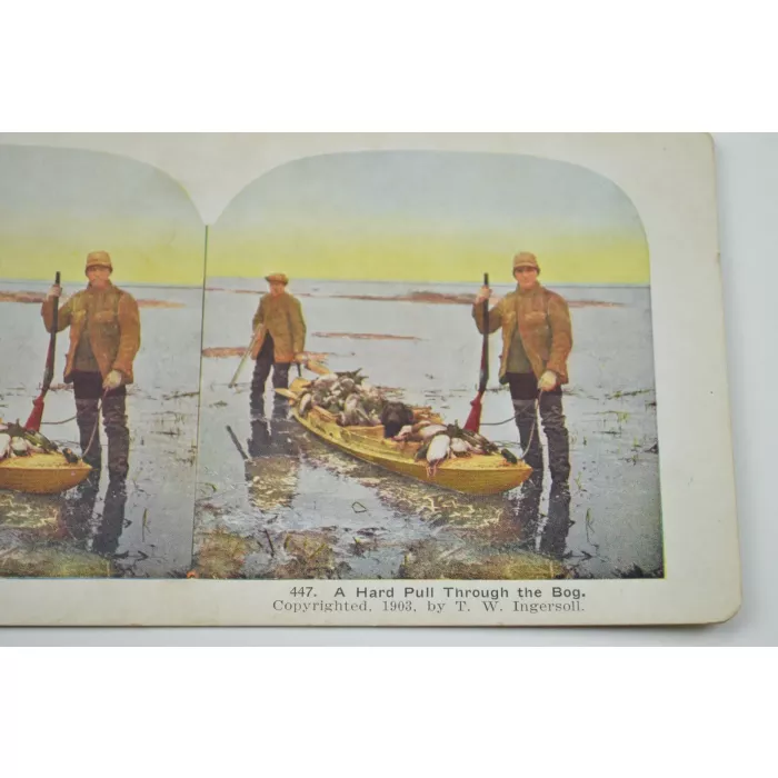Stereoview By T. W. Ingersoll - No. 447 - A Hard Pull Through The Bog - Antique 1903