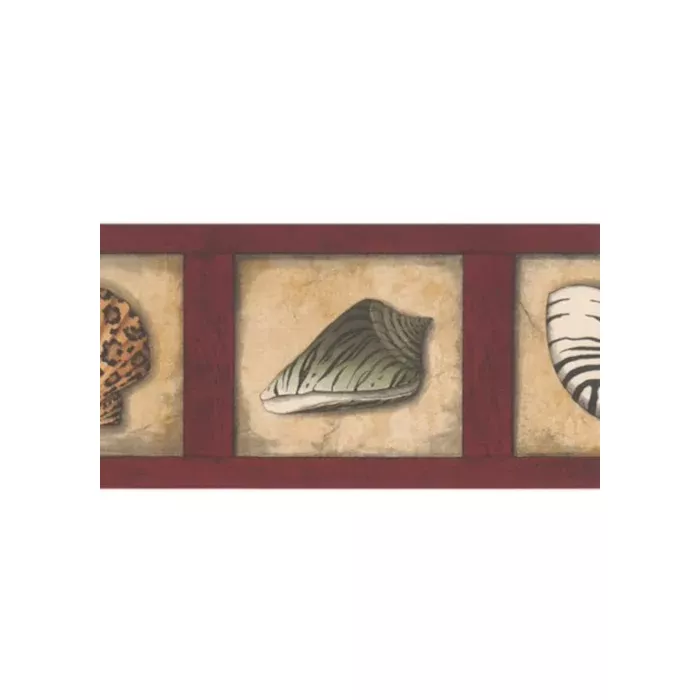 Animal Print Seashells Wallpaper Border by Imperial