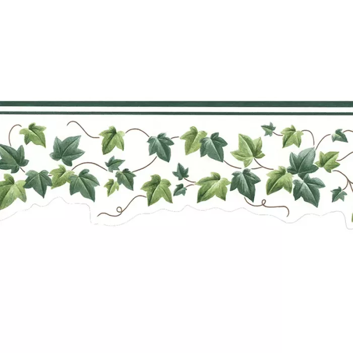Green Ivy Vine Wallpaper Border - Signature