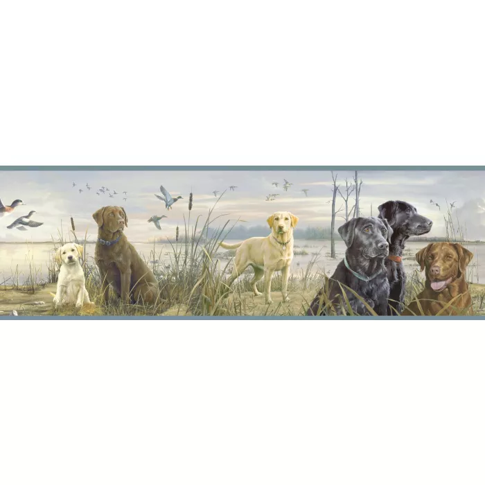 Trusty Blue Labs Portrait Wallpaper Border Chesapeake BBC48452B
