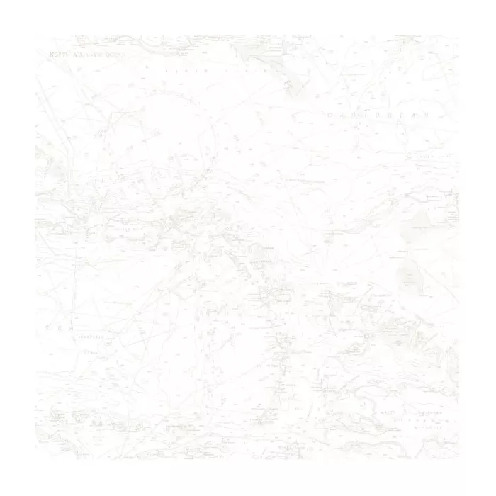 Canaveral Beige Charts Wallpaper Sidewall Chesapeake DLR16177