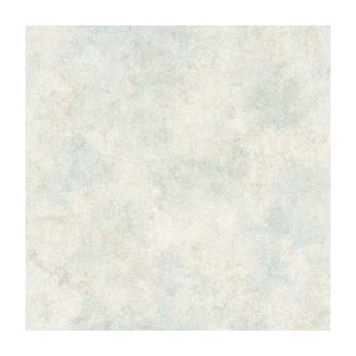 Key West Beige Coral Texture Wallpaper Sidewall Chesapeake DLR47611