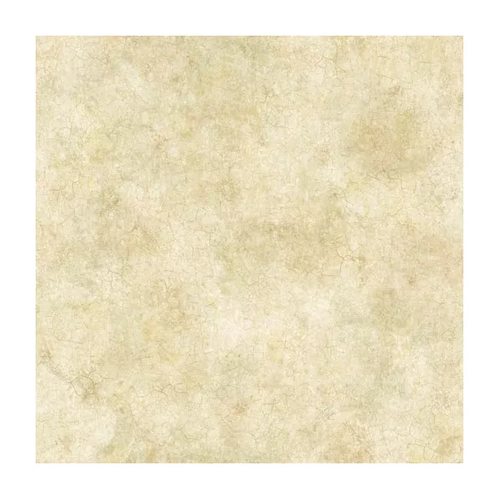 Key West Olive Coral Texture Wallpaper Sidewall Chesapeake DLR47612