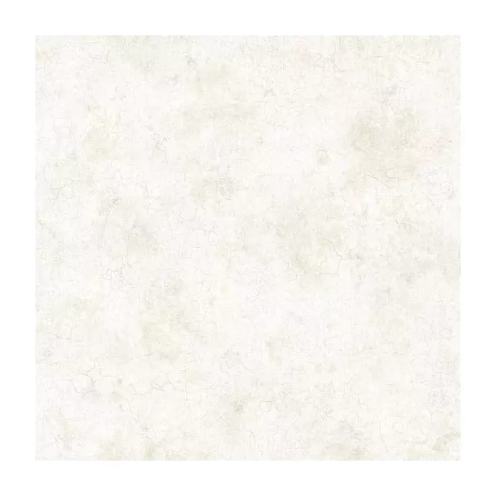 Key West Grey Coral Texture Wallpaper Sidewall Chesapeake DLR47613