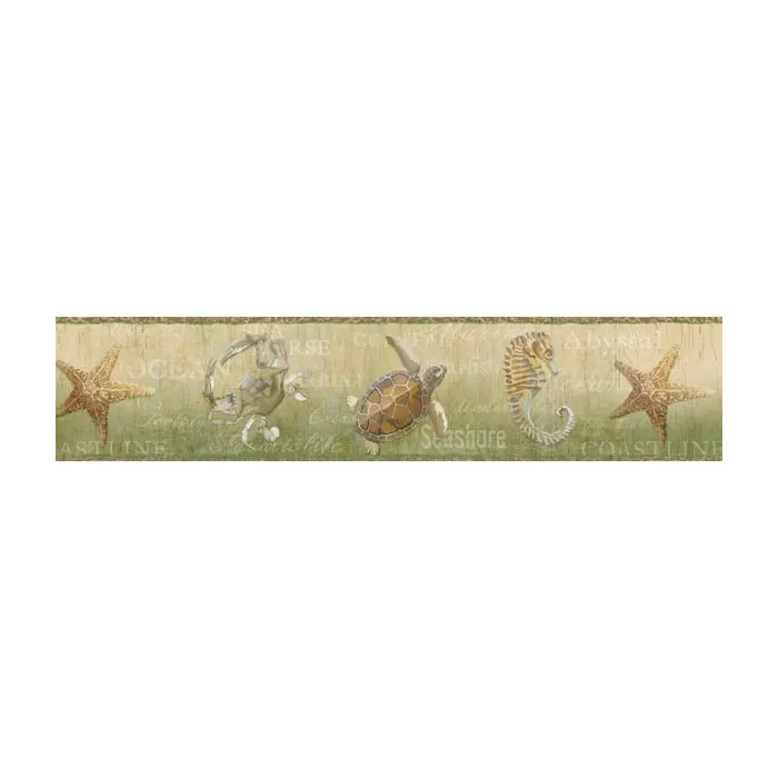 Coastal Olive Newport Lagoon wallpaper border Border Chesapeake DLR53531B