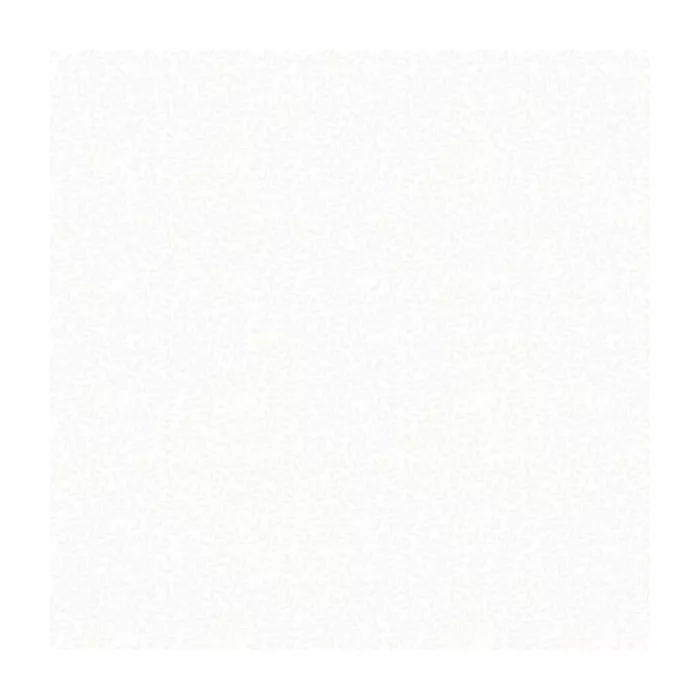 Sea Mist Grey Trailing Leaves Wallpaper Sidewall Chesapeake DLR54524