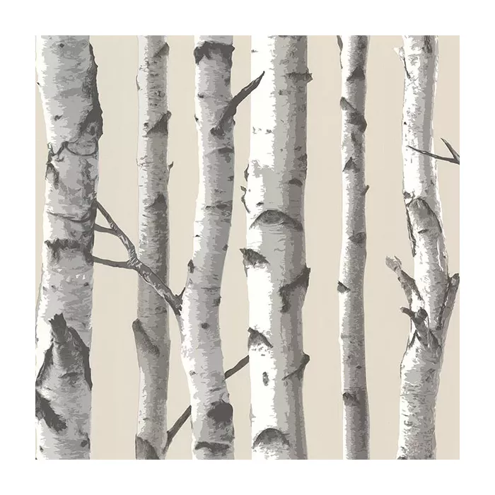 Tuxbury Beige Birch Tree Wallpaper Sidewall Chesapeake TLL21499