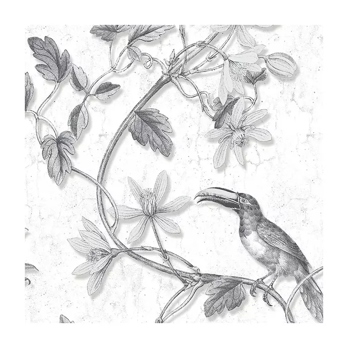 Toucan Toile Wallpaper Black Norwall Wallcovering MH36529
