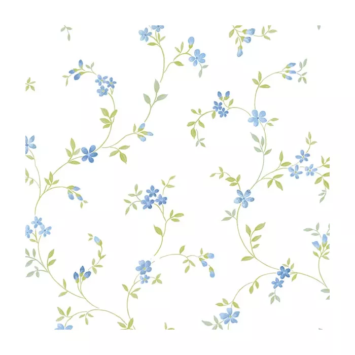 Seed Trail Wallpaper Blue, Green Norwall Wallcovering KE29908