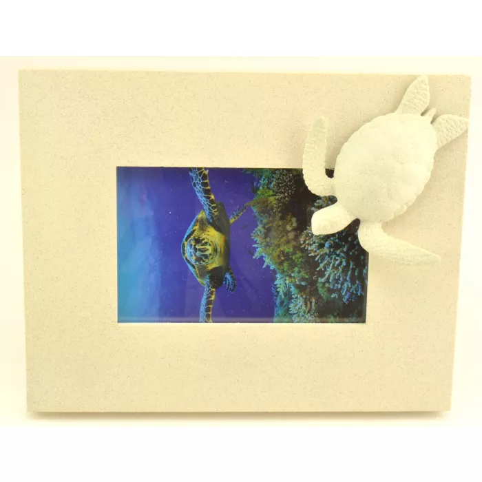 SAND-DECO Picture Frame - Sea Turtle - Holds 4" x 6"