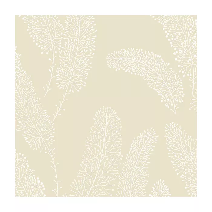 Feather Wallpaper Taupe Norwall Wallcovering PA34253