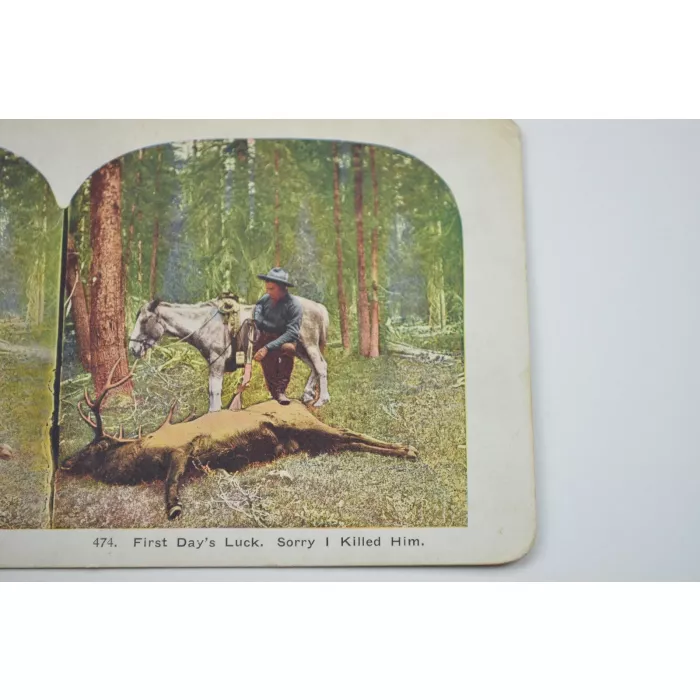 Antique Stereoview - No. 474 - First's Day Luck. Sorry I Killed Him