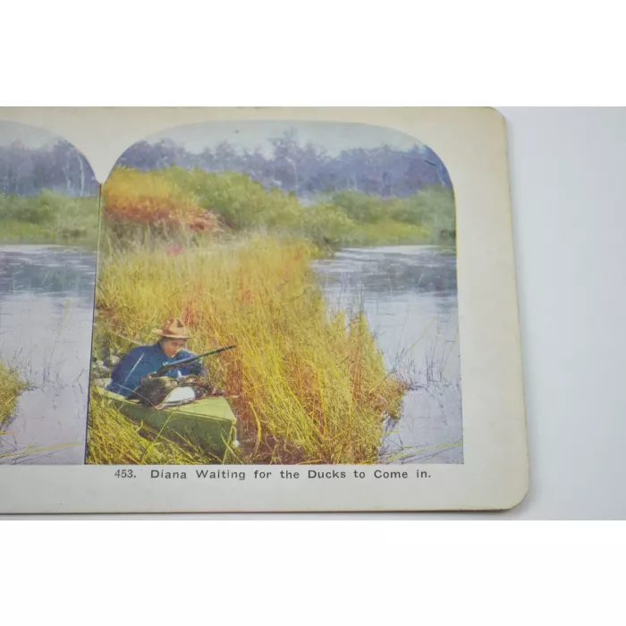 Antique Stereoview - No. 453 - Diana Waiting For The Ducks To Come In