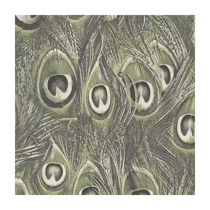 Peacock Wallpaper Green Norwall Wallcovering MH36520