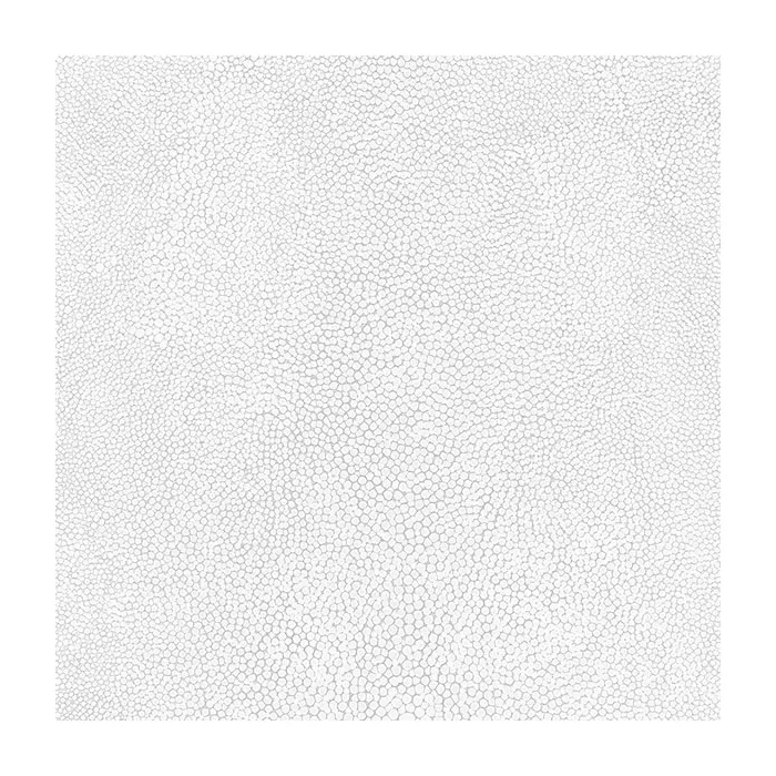 White with Grey Outlined Suds Wallpaper White, Grey Norwall Wallcovering G67472