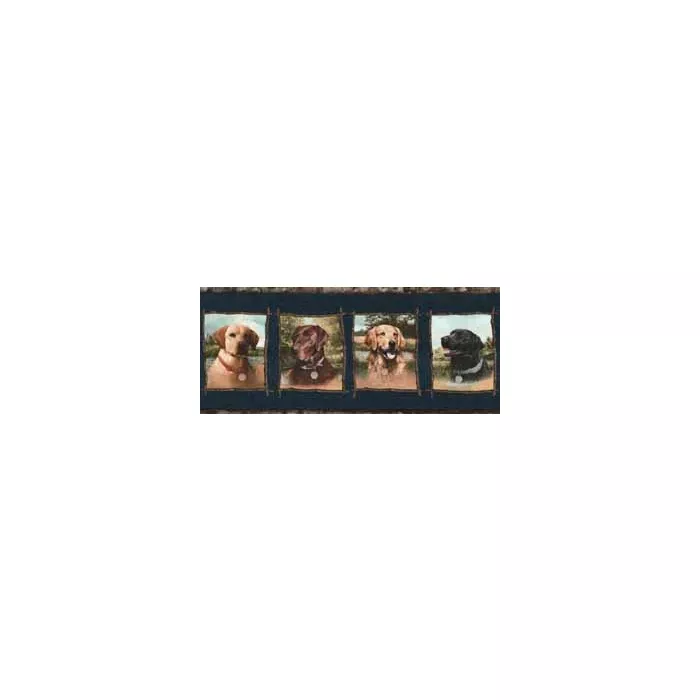 Blue Labrador Dog Wallpaper Border