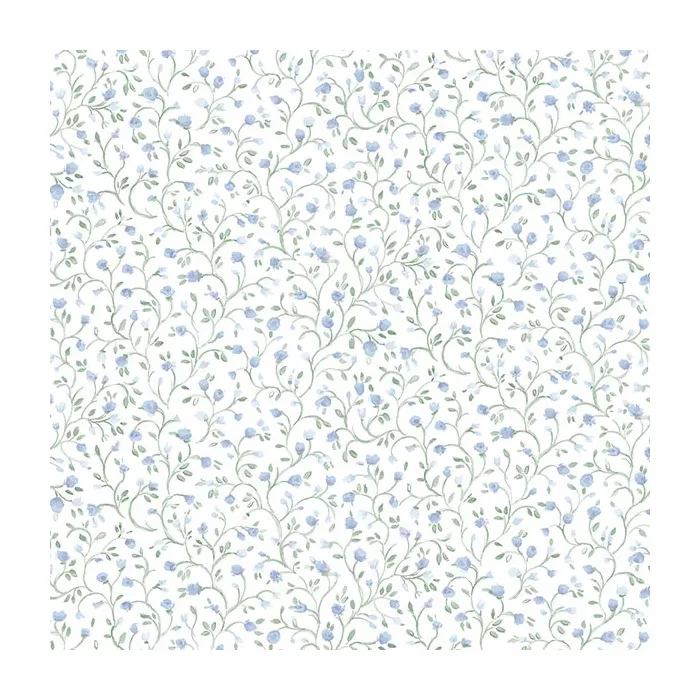Rainbow Mini Wallpaper Blue, Green Norwall Wallcovering PP35539