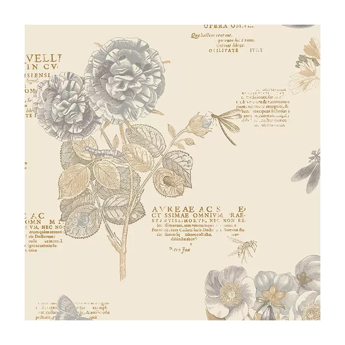 Botany Floral Wallpaper Grey, Beige, Black Norwall Wallcovering PA34245