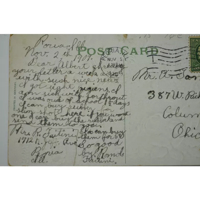Vintage Postcard - Forget Me Not - Early 1900's