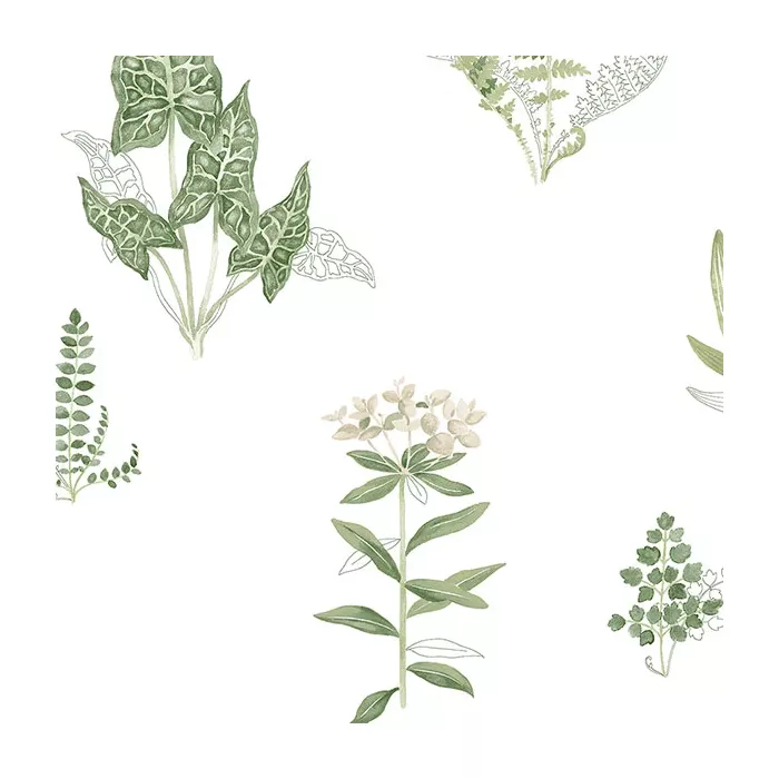 Ferns Wallpaper Green, Beige Norwall Wallcovering PA34227