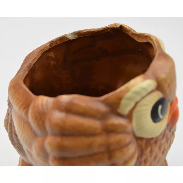Brown Owl Perched On Tree Ceramic Planter - 7" Tall