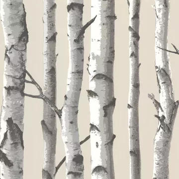Tuxbury Beige Birch Tree Wallpaper Sidewall Chesapeake TLL21499